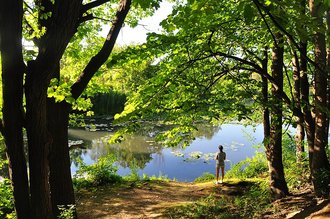 Parc Rosaire-Gauthier